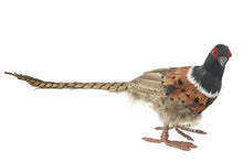 Load image into Gallery viewer, Standing Pheasant