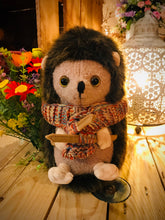 Load image into Gallery viewer, Hester Hedgie Hedgehog Door Stop