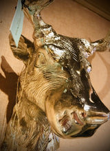 Load image into Gallery viewer, Culinary Concepts Stag Head