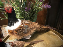 Load image into Gallery viewer, Standing Pheasant