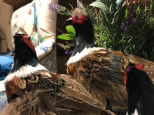 Load image into Gallery viewer, Standing Pheasant