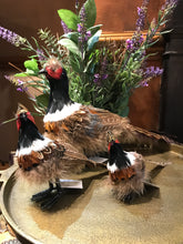 Load image into Gallery viewer, Standing Pheasant