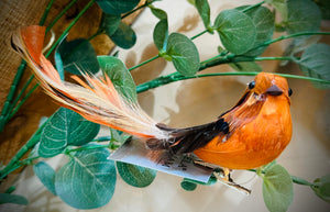 Feather Robin on A Clip Decoration