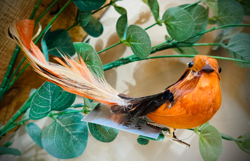 Feather Robin on A Clip Decoration