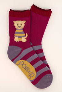 Woolly Westie Ankle Socks - Damson ~  Ladies Powder socks