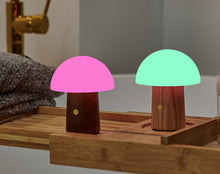 Load image into Gallery viewer, Alice Mushroom Lamp
