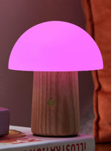 Load image into Gallery viewer, Alice Mushroom Lamp
