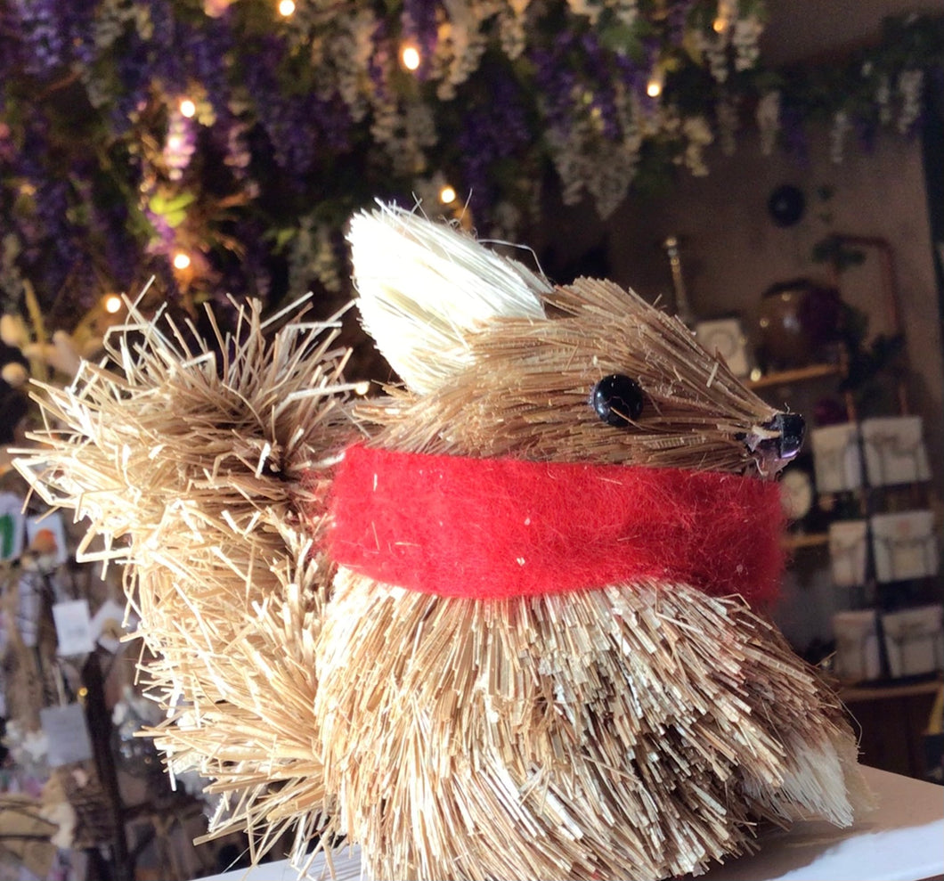 Bristle Squirrel with red scarf