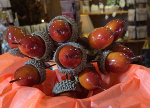 Acorn pick