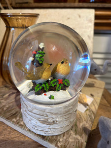 Robin Snow Globe