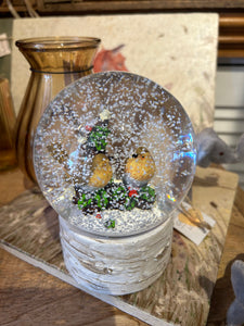 Robin Snow Globe