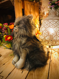 Majestic The Posh Maine Coon Cat Doorstop