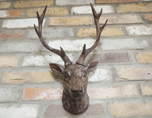 Stag Wall Head