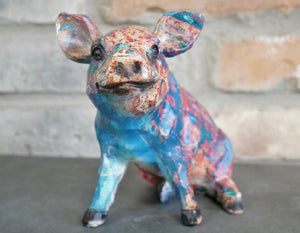 Colourful Pig