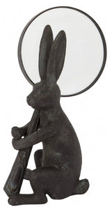 Rabbit With a Magnifying Glass