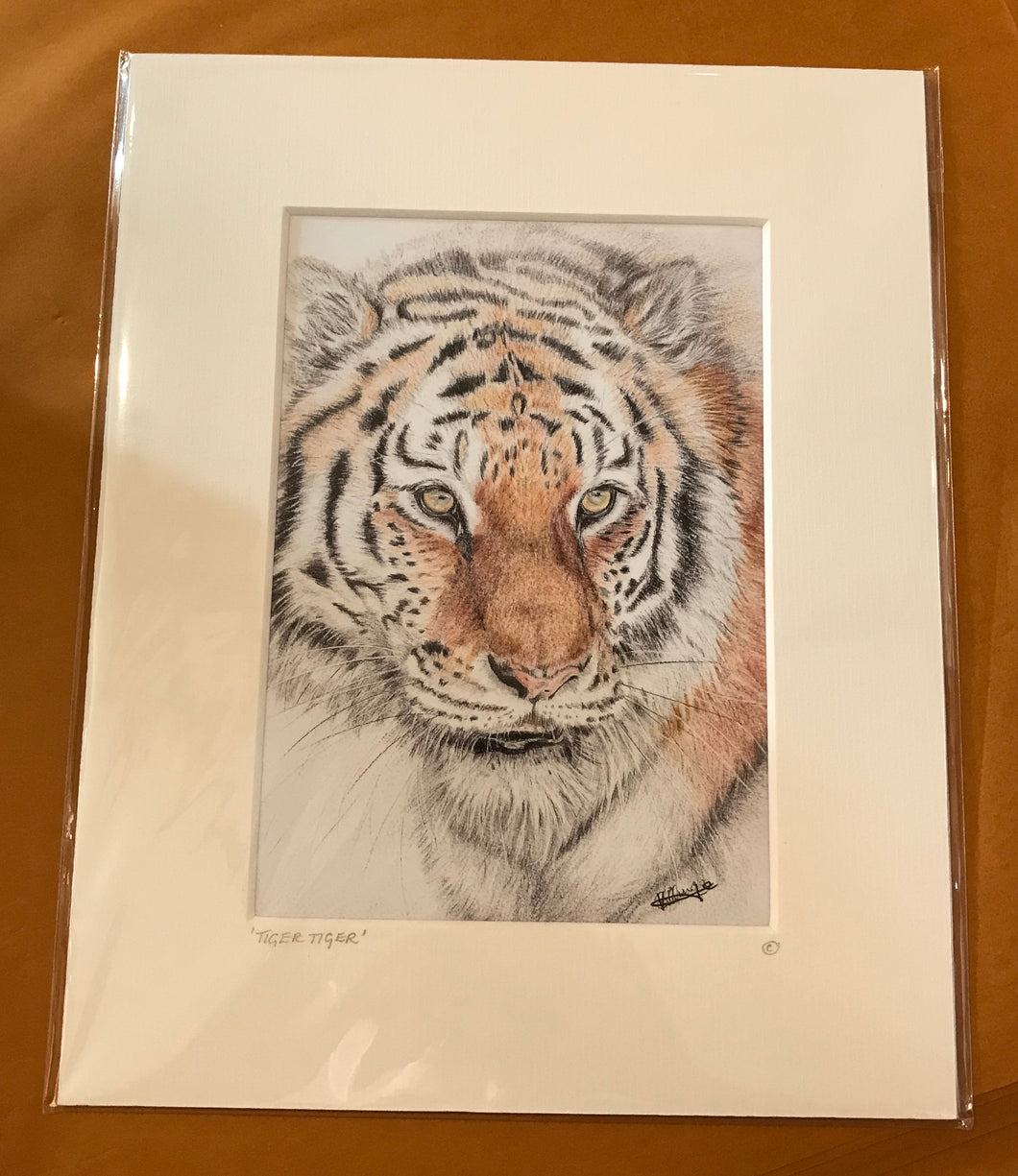 Printed Artwork “ TIGER TIGER “