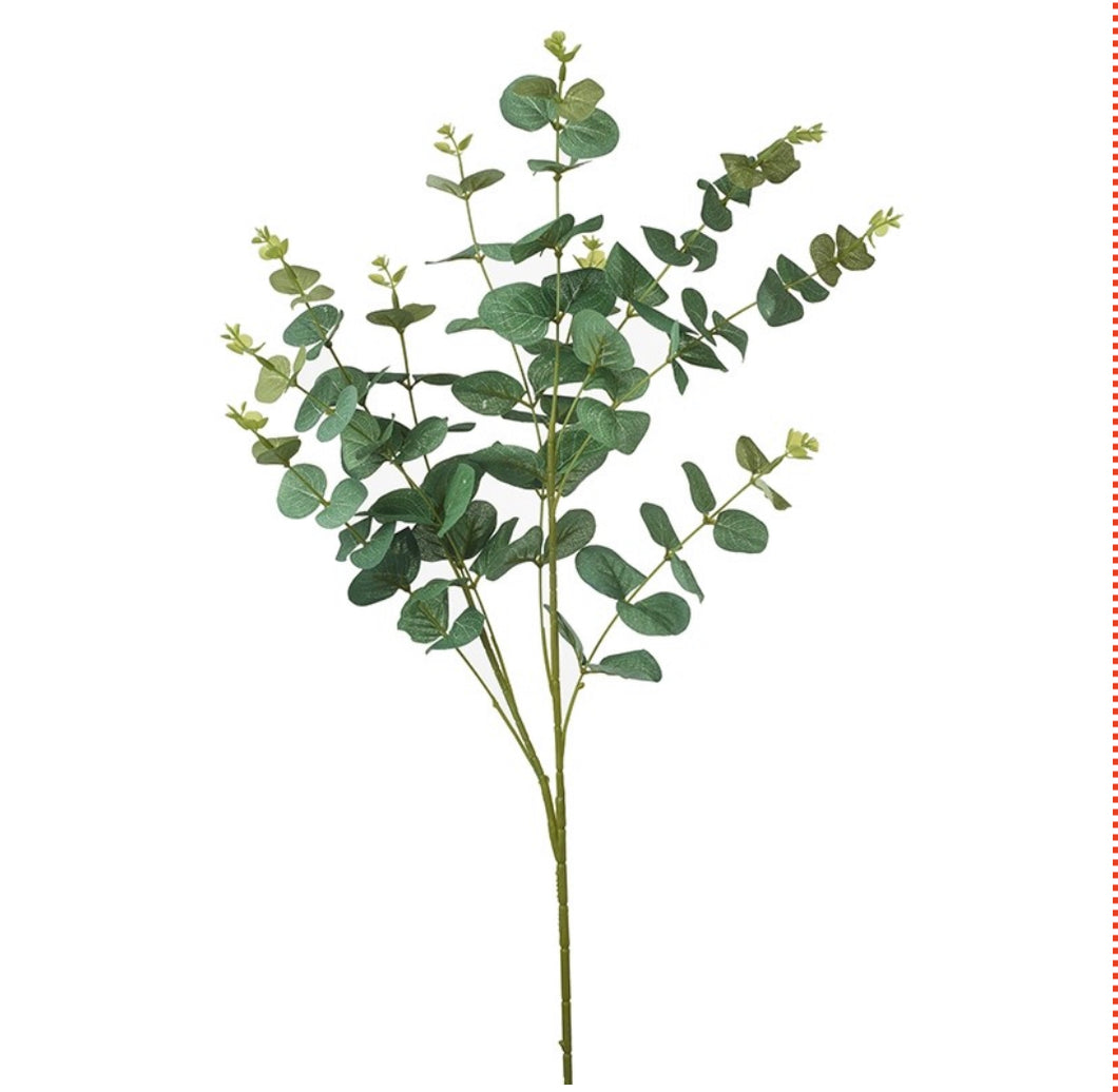 Eucalyptus Branch Large