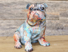 Load image into Gallery viewer, Colourful BullDog Small
