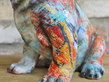 Load image into Gallery viewer, Colourful BullDog Small
