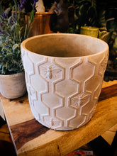 Load image into Gallery viewer, Concrete Bee Planter medium
