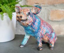 Load image into Gallery viewer, Colourful Pig
