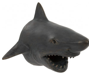 Shark Wall Head