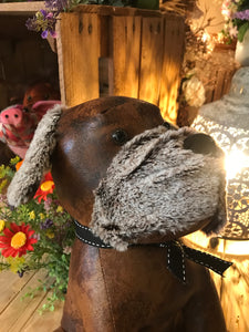 Brown Dog with Furry Face