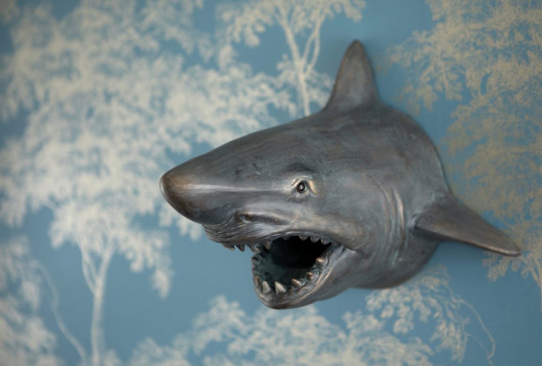 Shark Wall Head