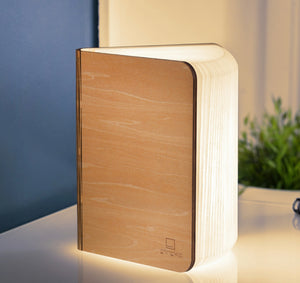 Mini Smart Book Lights