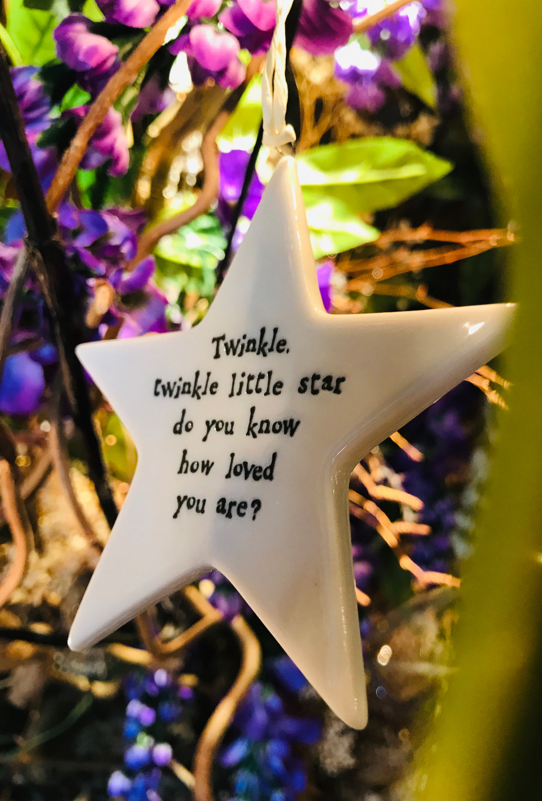 White Twinkle, Twinkle Little Star do you know how loved you are?