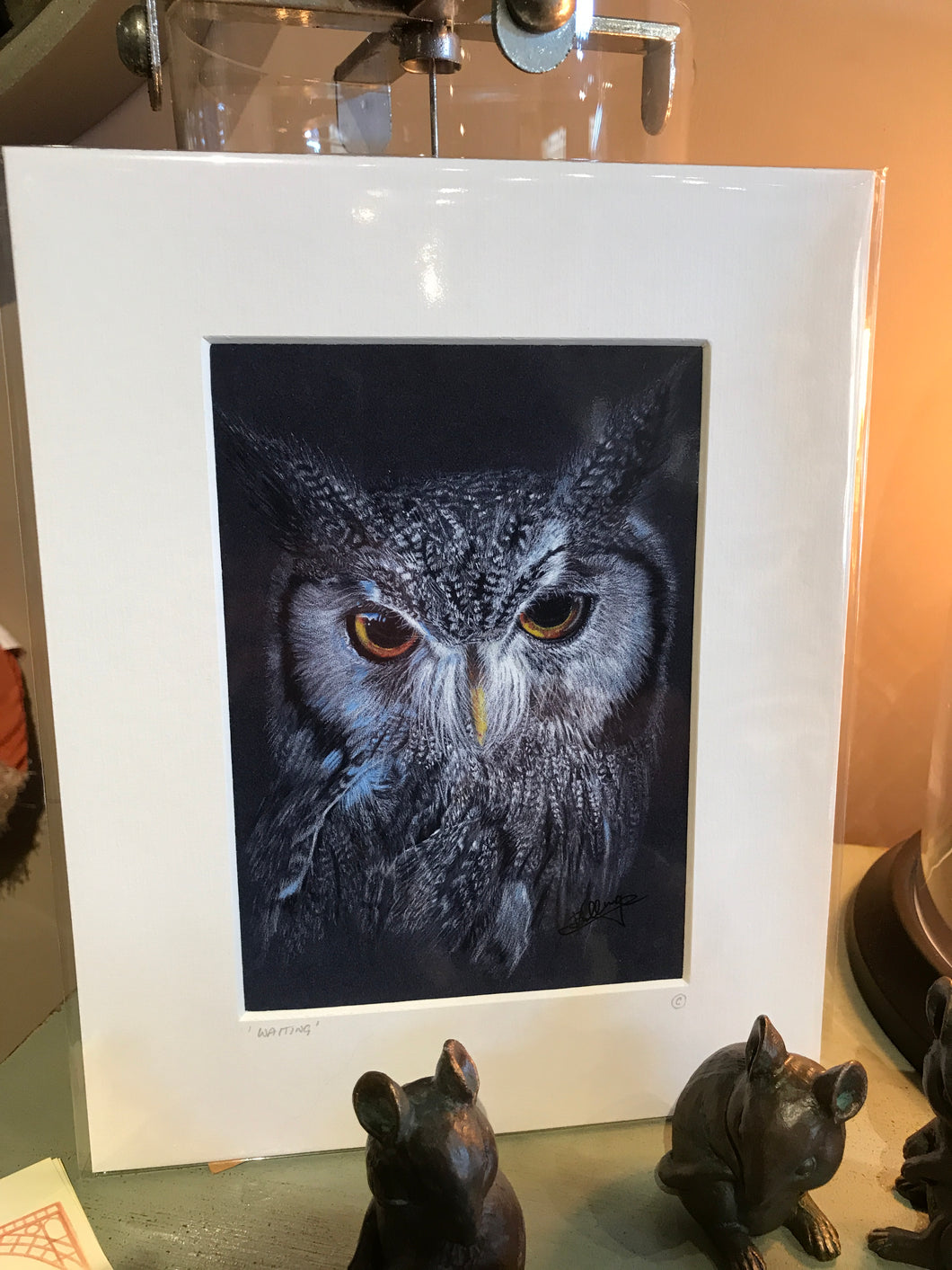 Picture Owl  ‘Waiting’